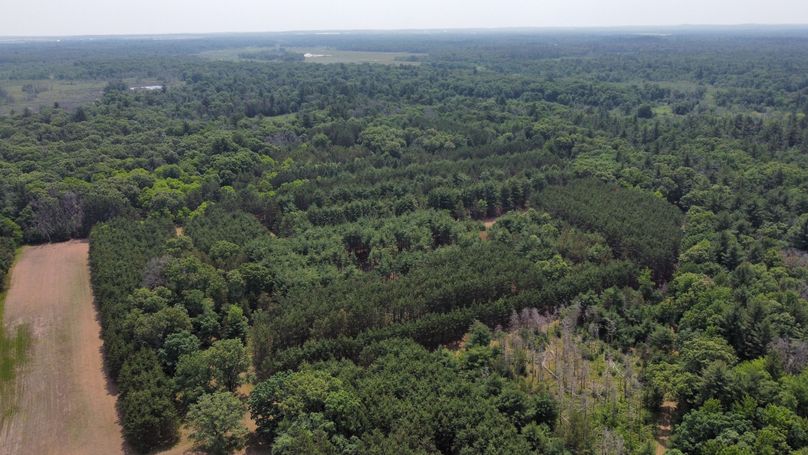 dji_fly_20230610_115726_601_1686416473680_photo_optimized