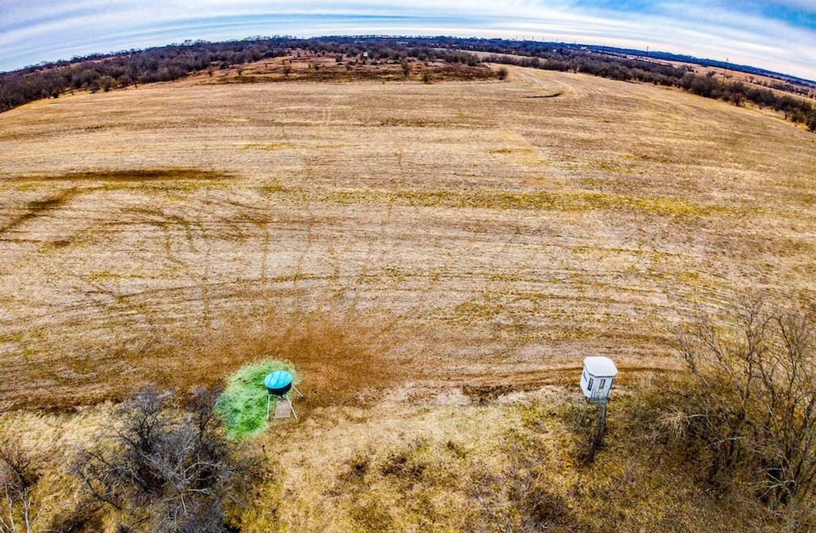 DJI_20260119084446_0644_D