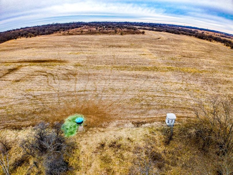 DJI_20260119084446_0644_D