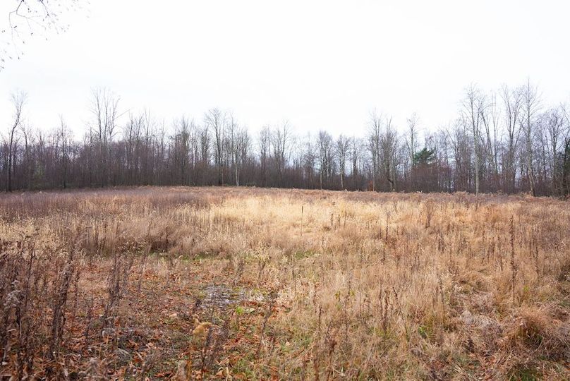 Lycoming PA 1006 Pro Photo-55