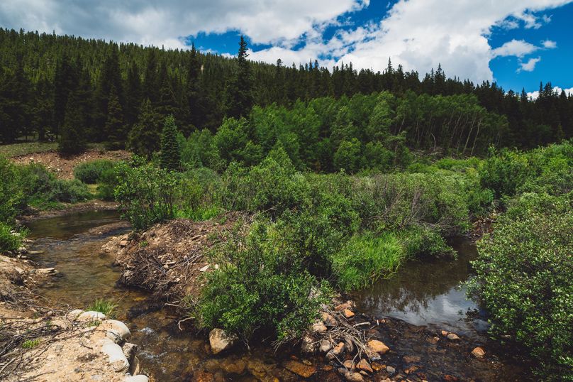 Lake CO 41.32 Nolan - 05 Creek