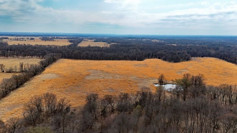 DJI_20260301153029_0105_D