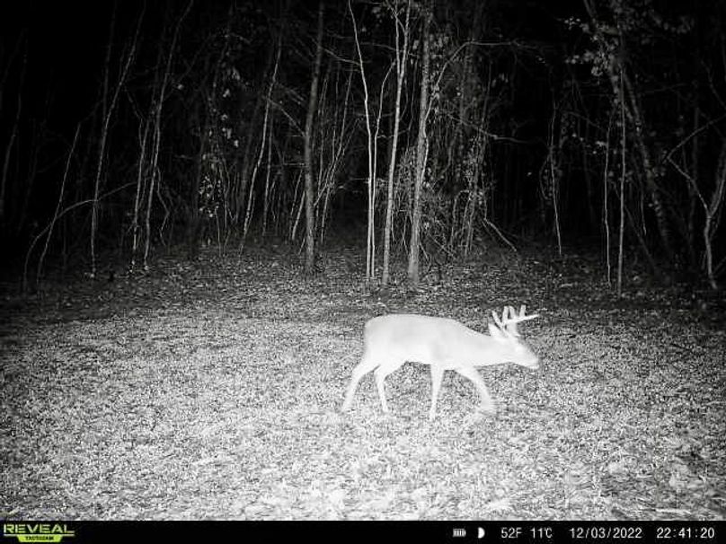 13957a3d-cbbc-4d62-a320-339ac59180d2