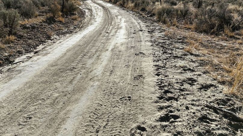 DJI_20241219102044_0072_D