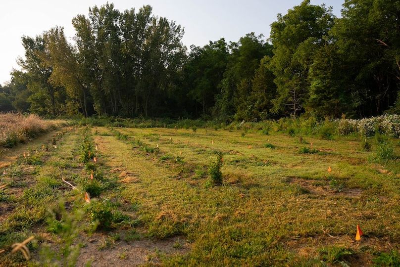 Cedar IA 152 Featured-Z92E