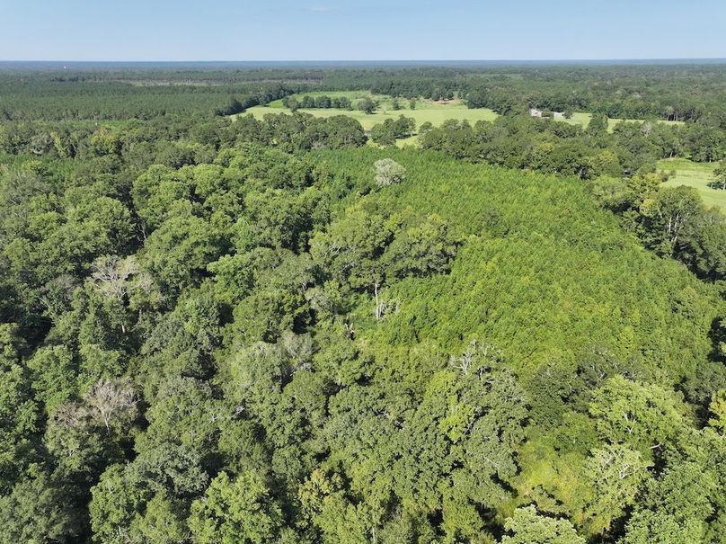 dji_fly_20250903_101624_0398_1757089042337_photo