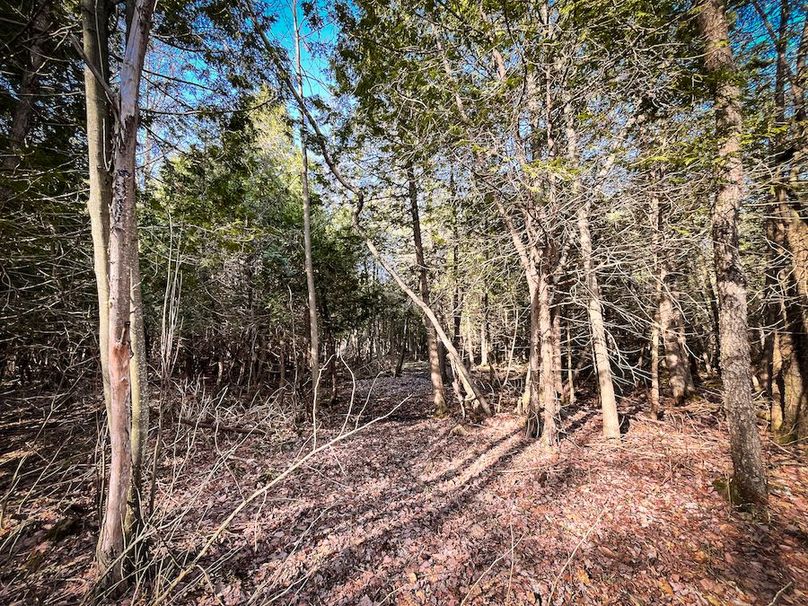 StLawrence_142.7_Bosse_Photos_29