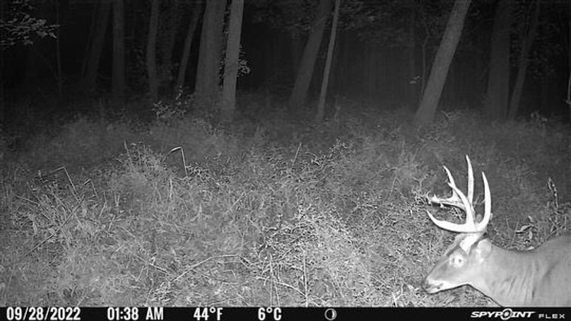 FA25313F-A92F-430A-8270-E54E3BF76A90