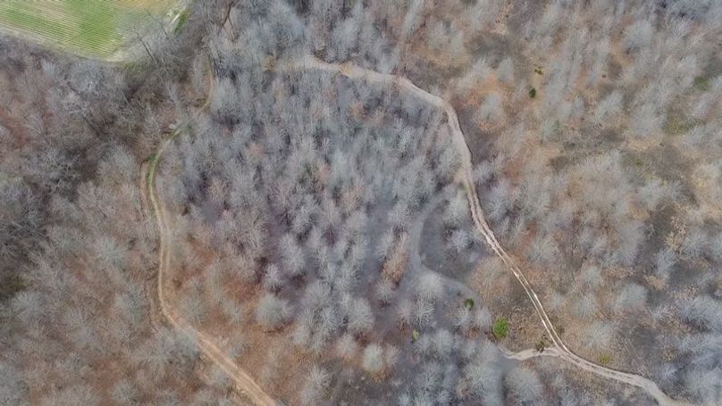 2024-02-29-15-45-31-748