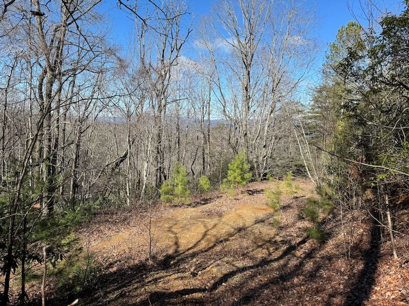 016 Clay 124.76 Fleaback-08