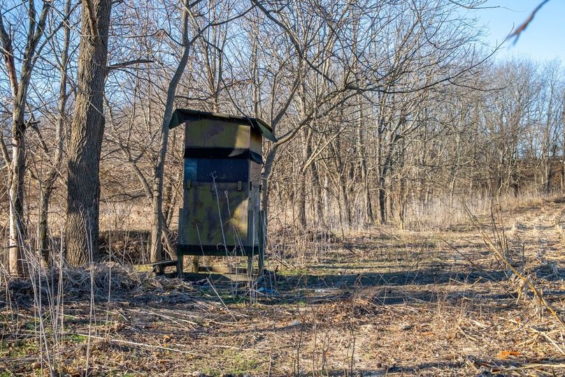 Copy of DSC00675 Large