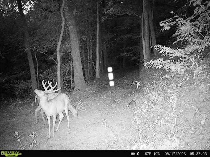 0CF7B370-88A6-4170-A642-44A702D9DF52