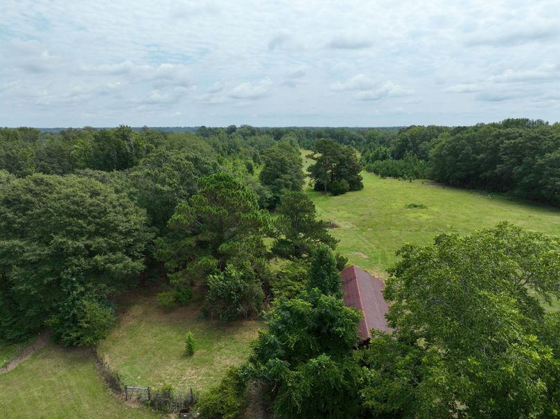 dji_fly_20230803_122914_494_1691080299830_photo