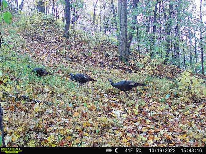 05038474-fe14-4ad5-bdd5-7d730136b254