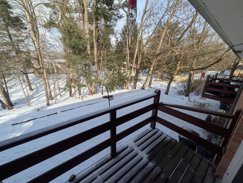 Copy of PXL_20260123_193547329 Large