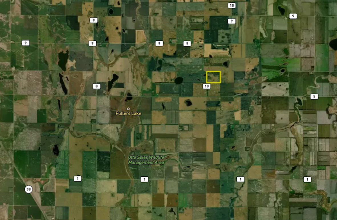 Screenshot 2026-02-17 at 12.16.46 PM