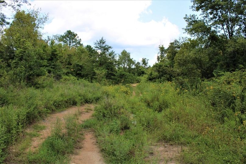 011 another section of the Little Rock Lick Creek road leading across the west boundary