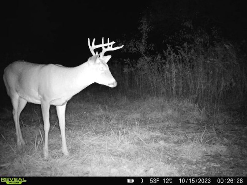 860322065128164-10-3-10152023002628-V-W1003665