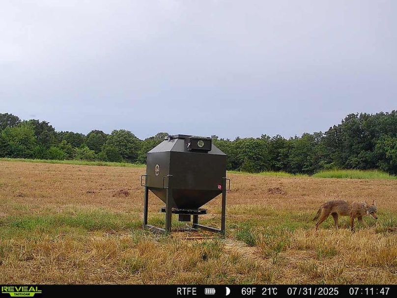 860516063155356-100-4-07312025071146-W1004000