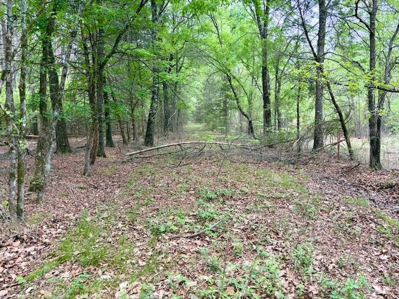 BCEABC44-58BF-4C30-AB58-B916B06710DA_1_105_c