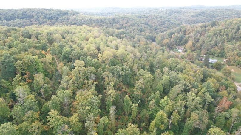 dji_fly_20240919_084830_661_1726752724092_photo