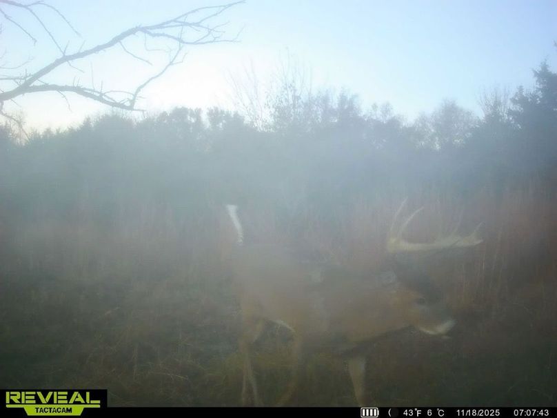 860322065515287-100-4-11192025162740-HD-SYEW1194