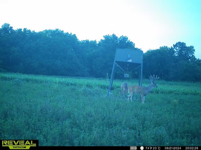 865509050069214-100-2-08212024200240-w1011762