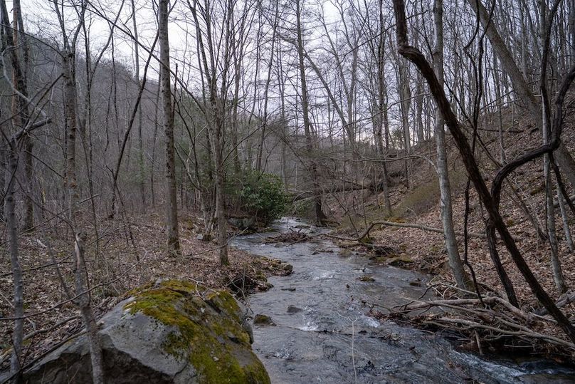 Somerset, 20, Hostetler-47