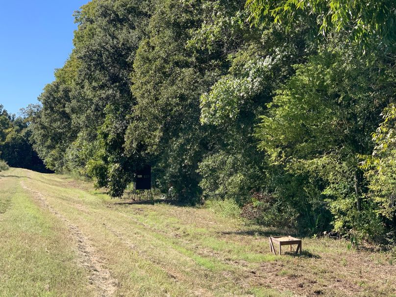 A45EA753-199A-4CD8-BEFA-A940E5DA308F copy