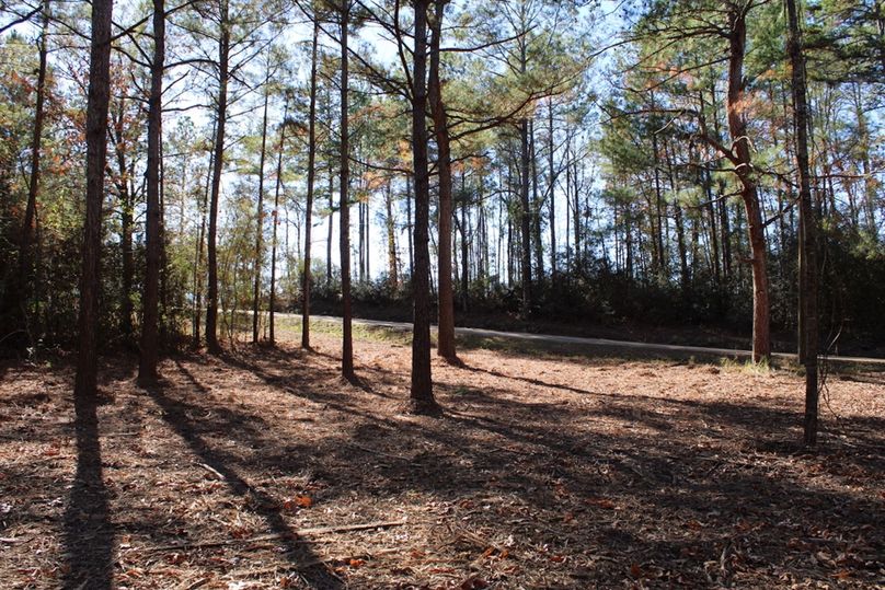 216516B9-5BAA-4D51-8286-E9323B7F6A74_1_105_c