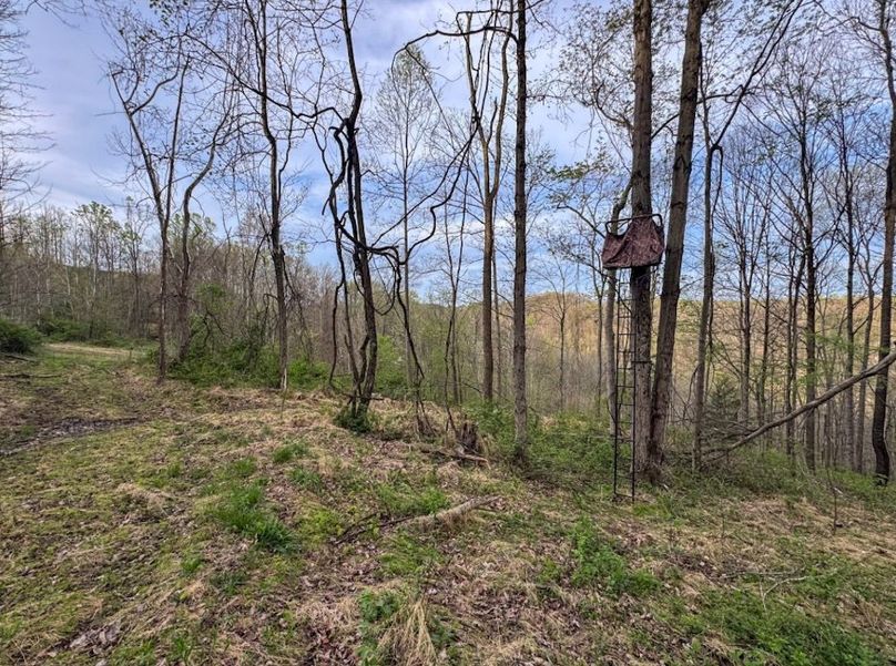 Screenshot 2026-04-21 at 11.36.36 AM