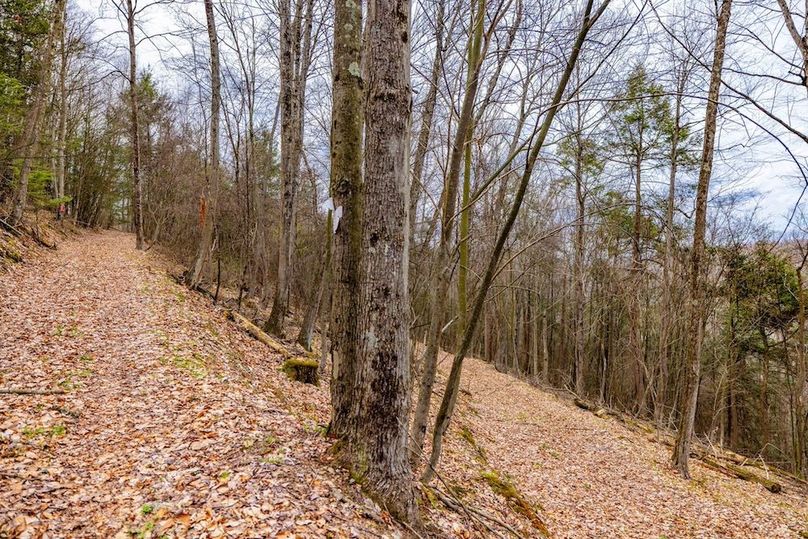 54-web-or-mls-IMG-54