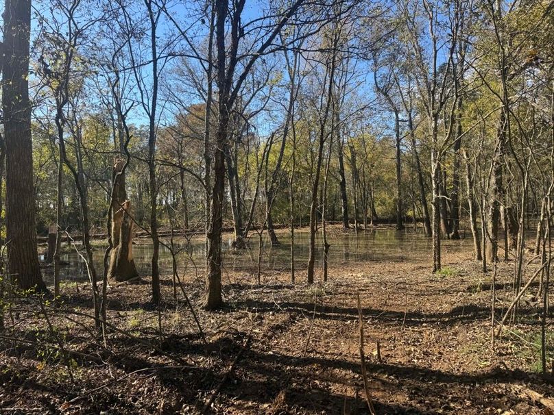 1a1 jeff 8320251111_0269