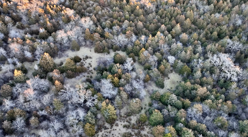 Screenshot 2026-01-06 at 8.17.25 PM