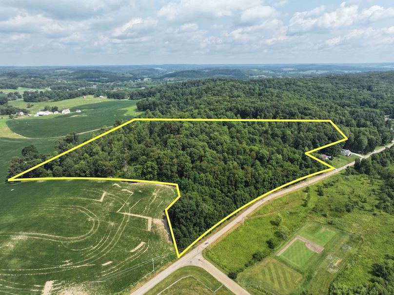 7-Drone 1 with lines