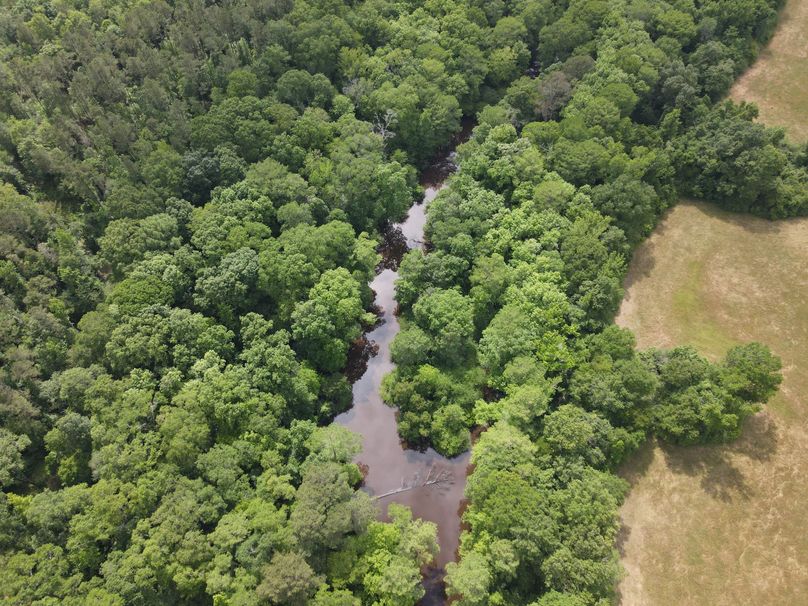 DJI_0851