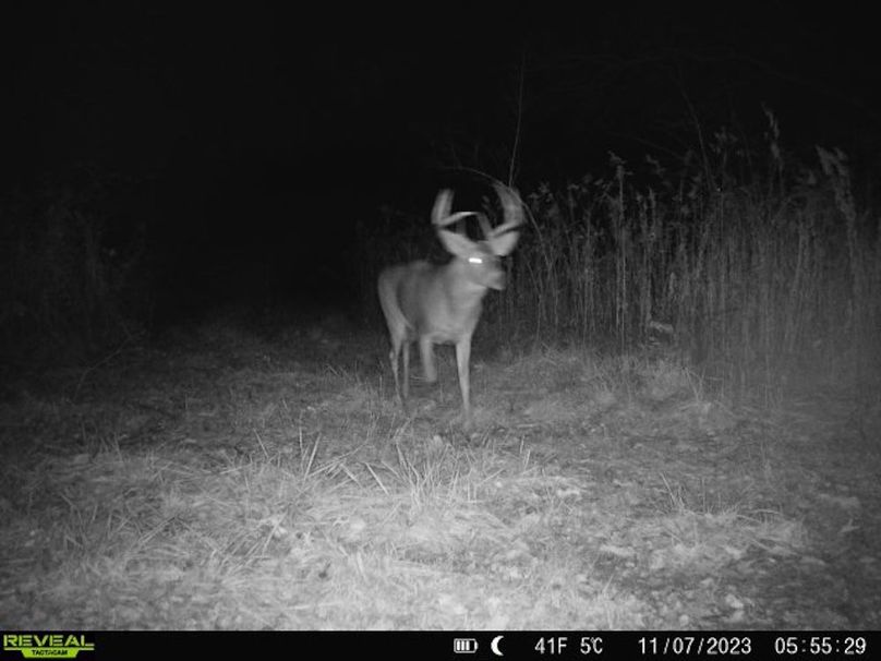 860322065128164-1-2-11072023055528-V-W1005324