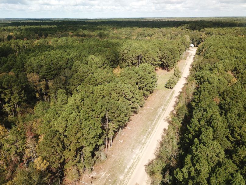 DJI_0891