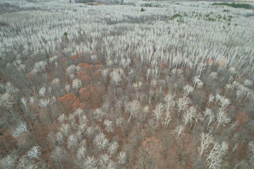 dji_fly_20251104_160826_5_1762294533053_photo