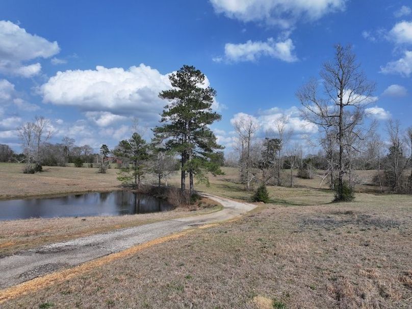 dji_fly_20260220_132110_0222_1771640791039_photo