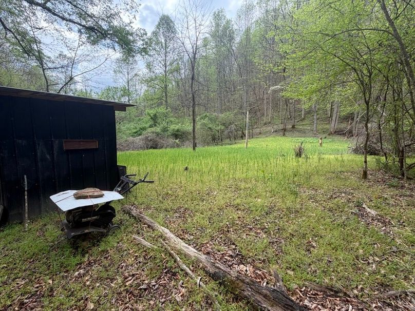011 Back Side of the Farthest Food Plot_ What a Gem!