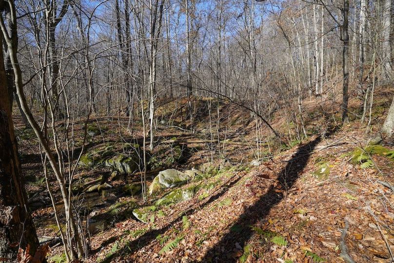 Somerset, 10.91, Tinkey-26