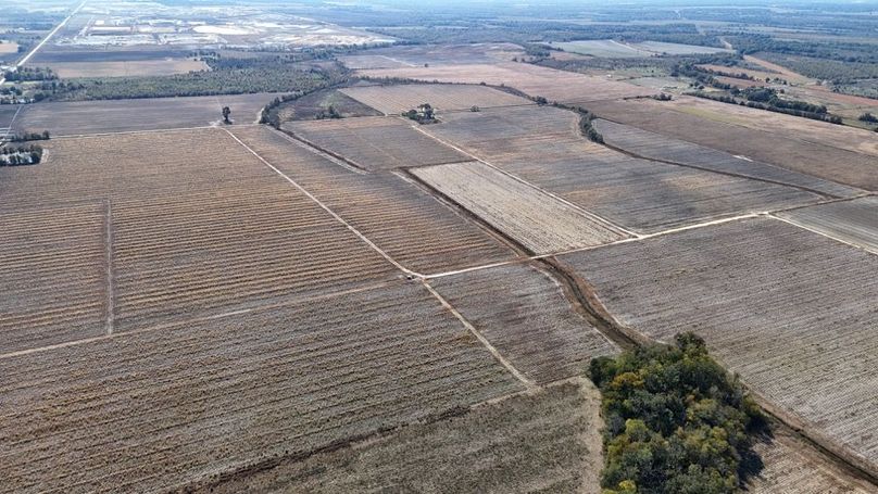 DJI_20251116020320_0894_D