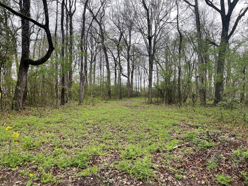 2A4AB602-3057-483A-91E1-F805128CEF23