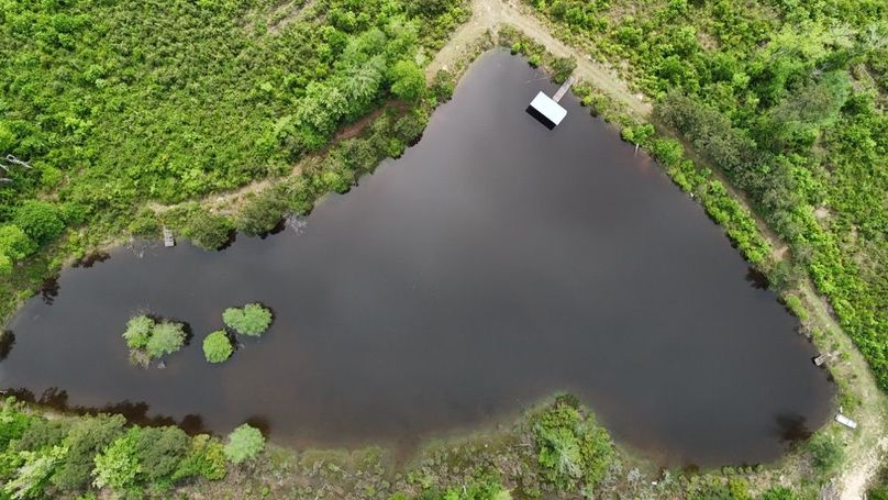 DJI_20260421004546_0246_D