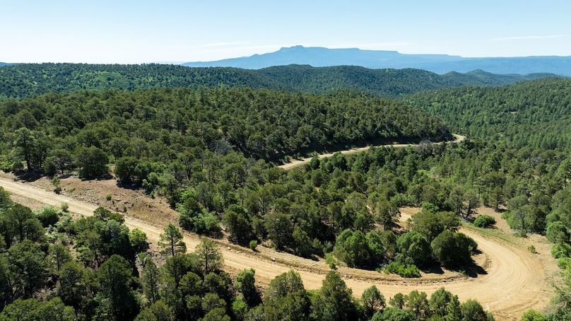 DJI_20240625115459_0063_D-HDR