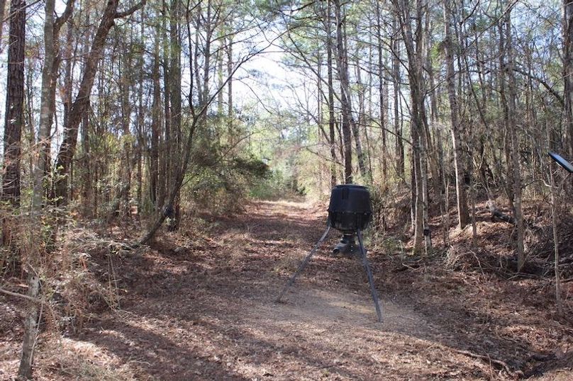 EB594A7D-10D6-484F-82EF-DC19DA159B98_1_105_c