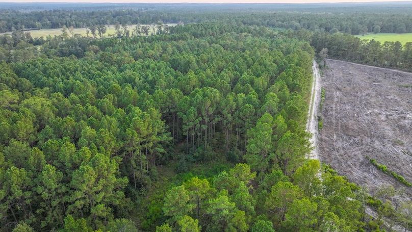 DJI_20250918184139_0255_D