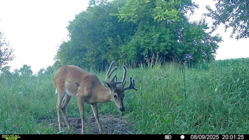 016579000438700-63-3-08092025200125-SYFW16775