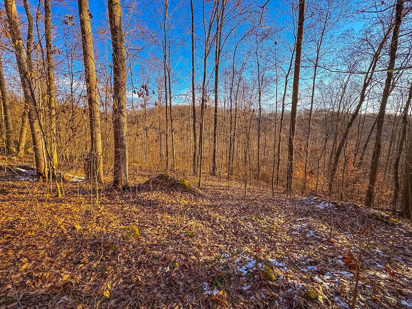 Pleasants, WV 81 AC Barron-41